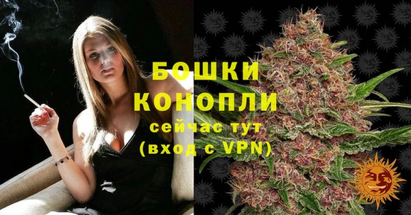 каннабис Богданович