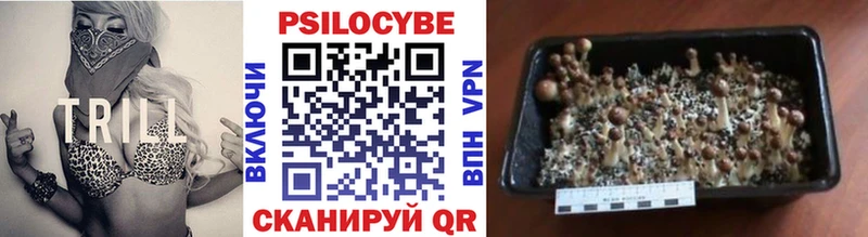 KRAKEN ONION  Берёзовка  Галлюциногенные грибы мицелий 